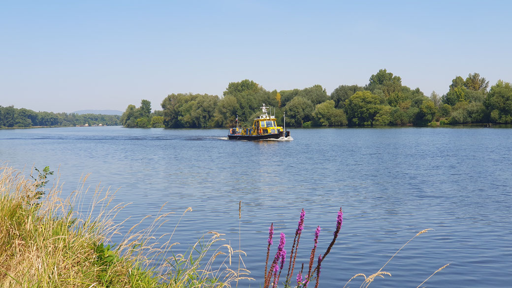 Das ?Postschiff auf der Elbe...