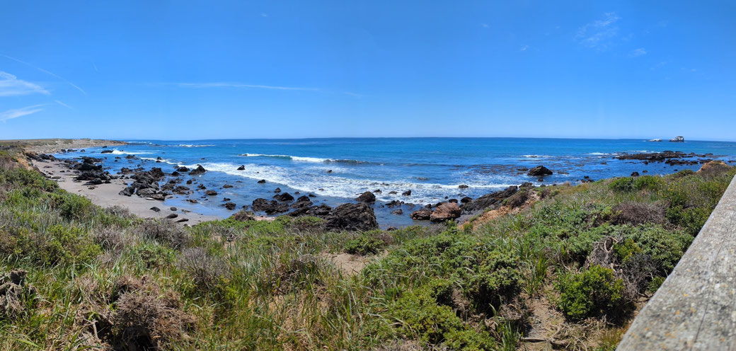Elephant Seal Vista Point