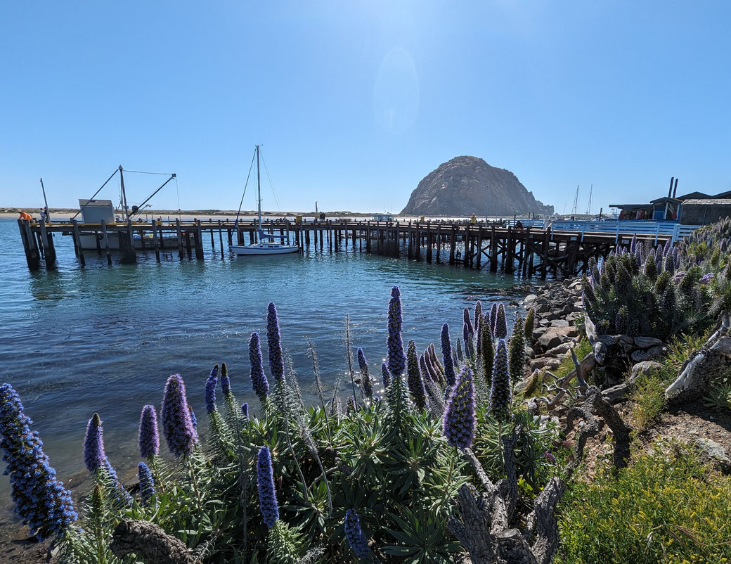 Morro Bay [Rock]