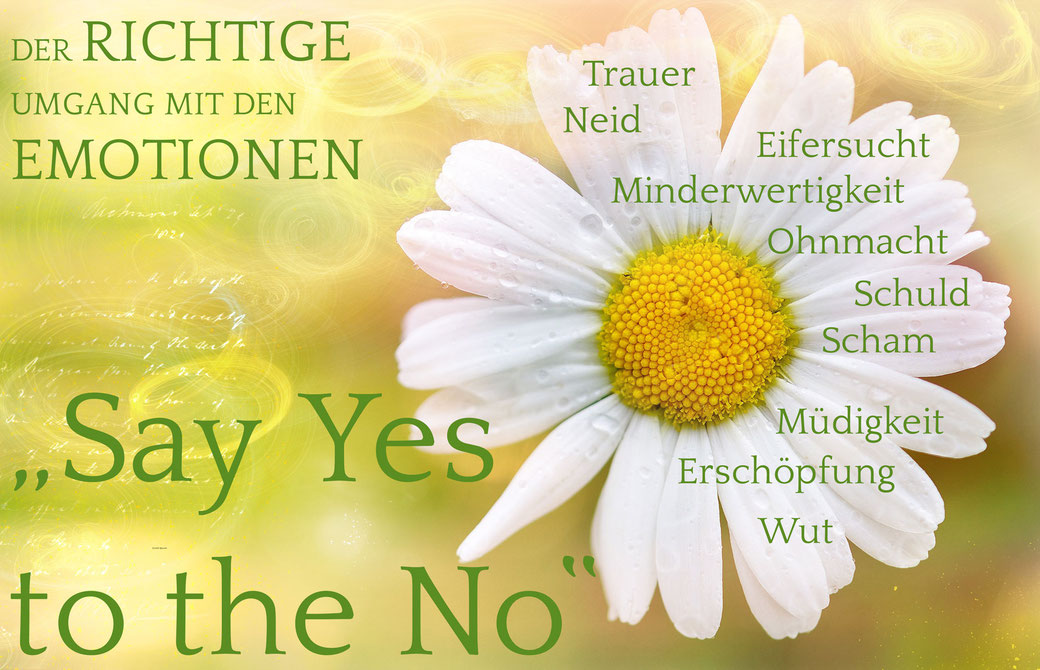 Trauer, Neid, Eifersucht, Minderwrtigkeit, Ohnmacht, Schuld, Scham, Müdigkeit, Erschöpfung, Wut … say YES to the NO, Diane Reichert