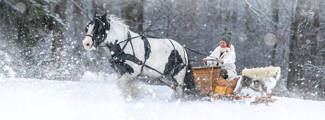 Schlittenfahrt im Schnee, Pferdeschlitten, RossFoto Dana Krimmling