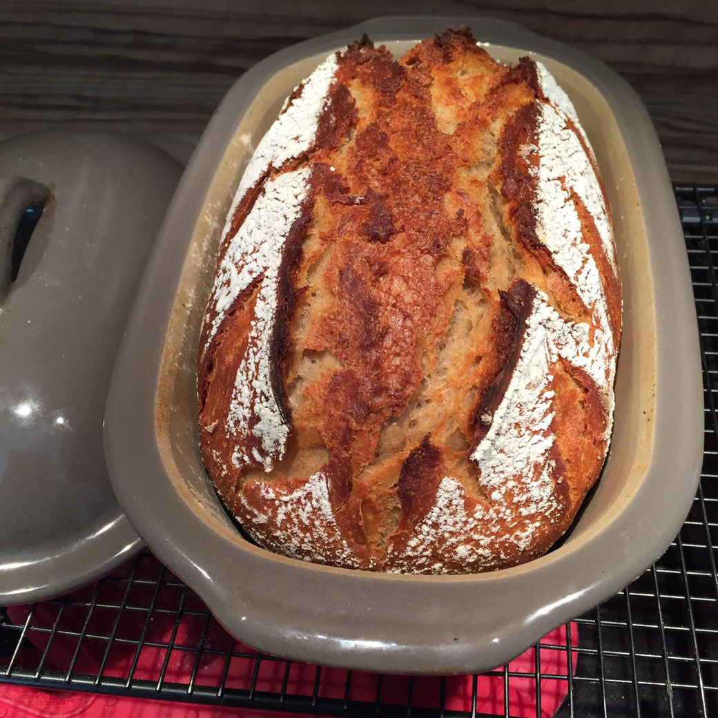 Senfbrot aus dem kleinen Zaubermeister von Pamperedchef® Ein würziges und sehr leckeres Brot aus dem kleinen Zaubermeister "Lily" Der Zaubermeister von Pamperedchef: Eine neue Größe für kleinere Portionen! Für kleine Brote, Braten & mehr.