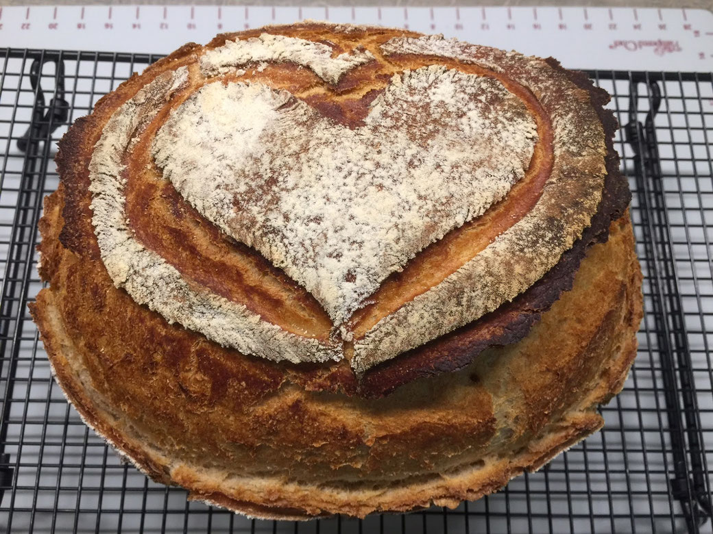 Pampered Chef ® Meisterkruste aus dem Ofenmeister. Ein Sagenhaft leckeres Brot aus dem Ofenmeister von Pampered Chef®. Der Thermomix® hat den Teig geknetet.