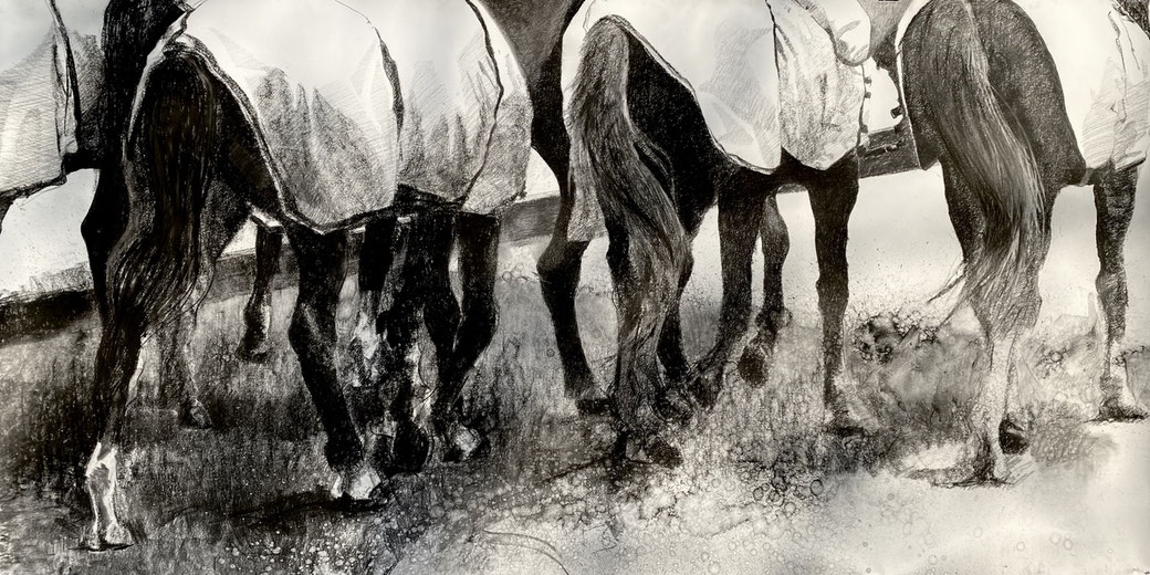 Polo Club de Bogota, charcoal on paper 150x300cm, 2020