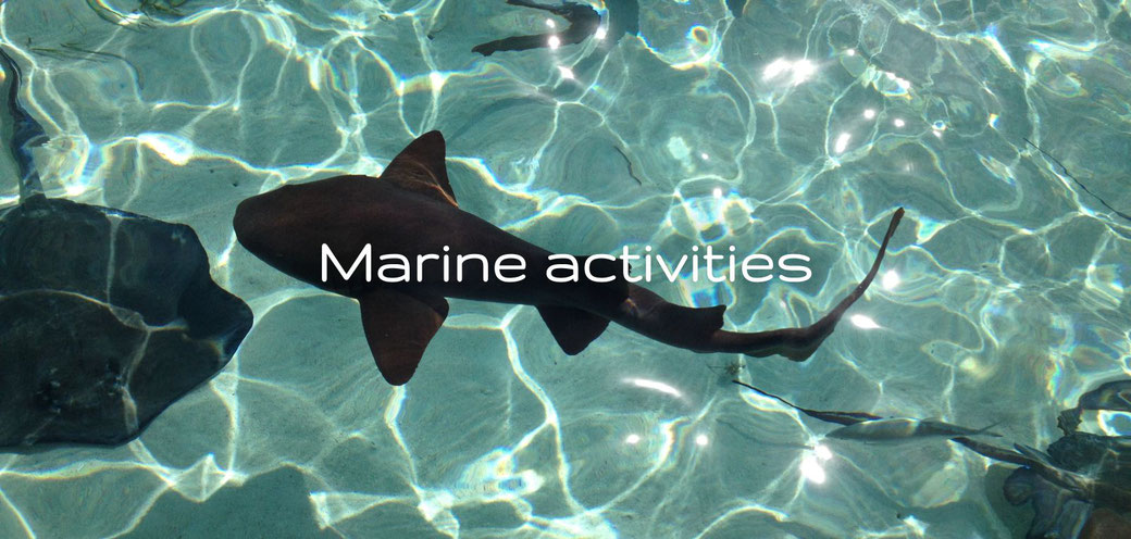 A lot of marine activities