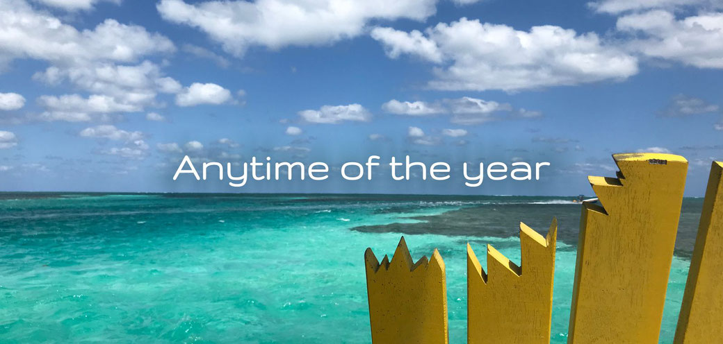 You can visit Caye Caulker any time of the year