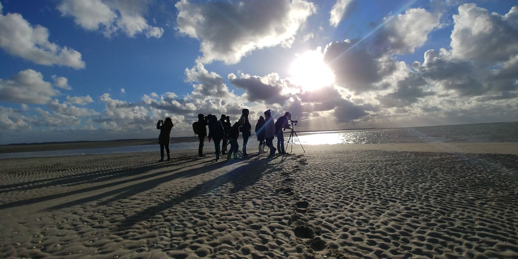 Rando baie de Somme découverte sortie nature