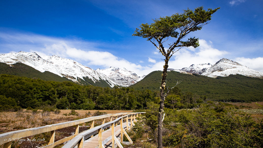 Laguna Esmeralda Wanderung Ushuaia