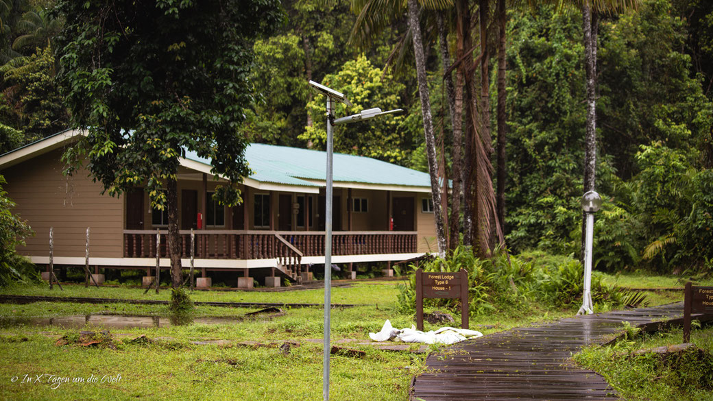Borneo Bako Nationalpark