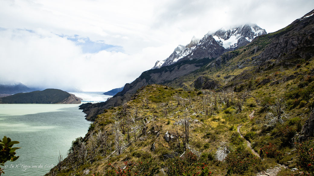 Der W Trek im Torres del Paine Nationalpark