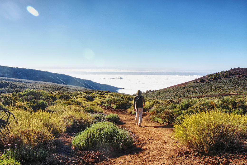 Teneriffa Klima Sehenswürdigkeiten