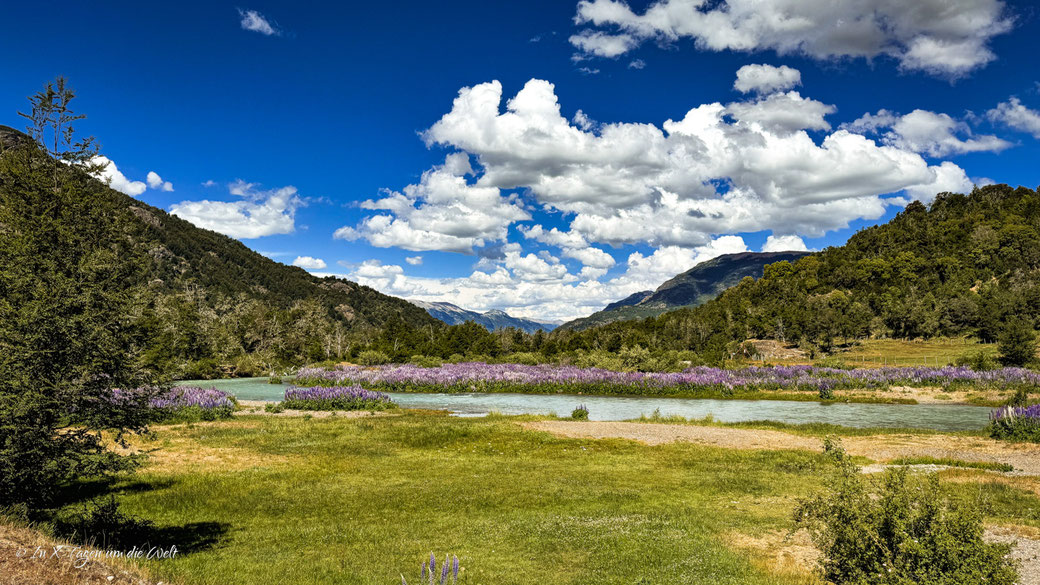 Cerro Tronador Ventisquero Negro Pampa Linda Bariloche