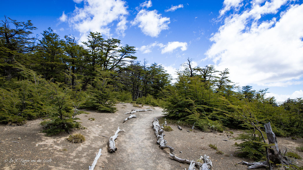 Wanderung Loma del Plieque Tumbado