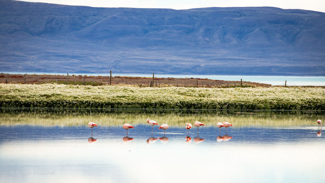 El Calafate Sehenswürdigkeiten, Reisetipps & Highlights