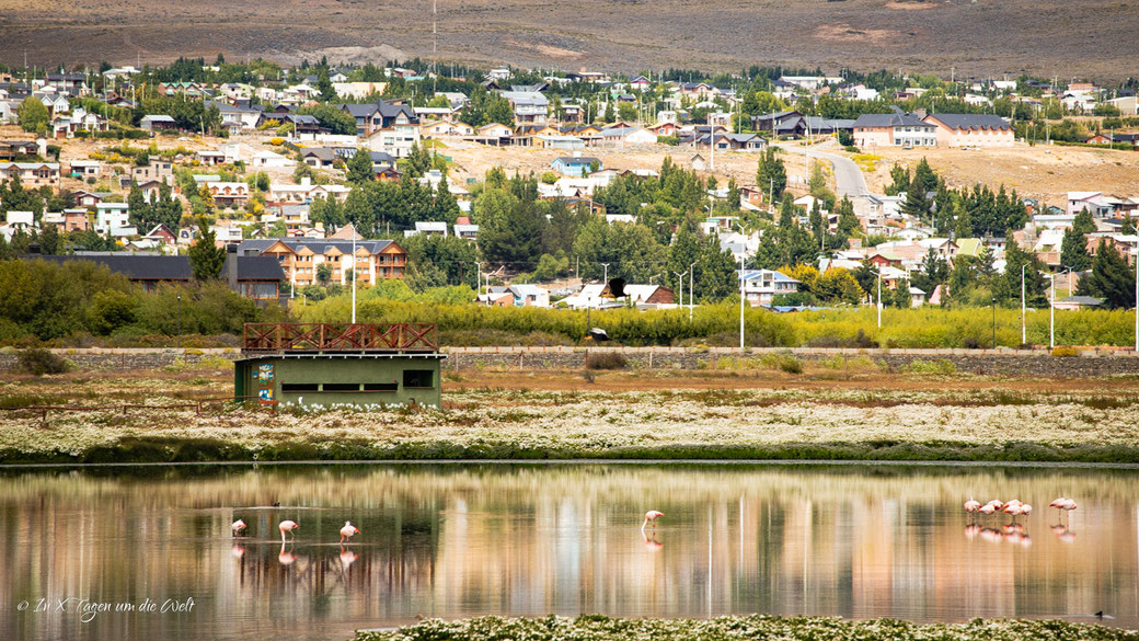 El Calafate Sehenswürdigkeiten, Reisetipps & Highlights