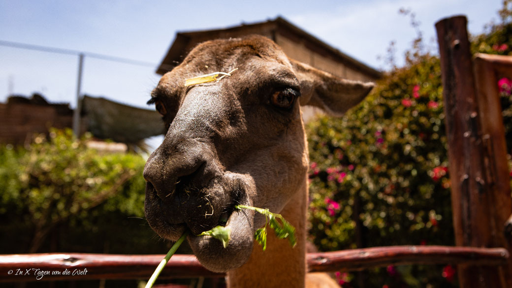 Peru sehenswürdigkeiten