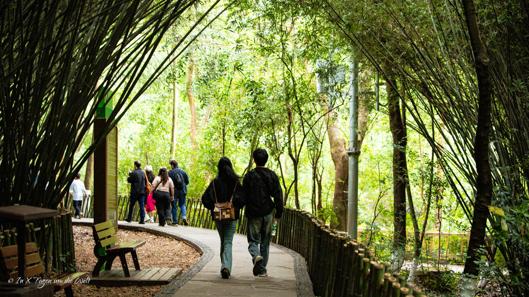 Chengdu Research Base of Giant Panda Breeding