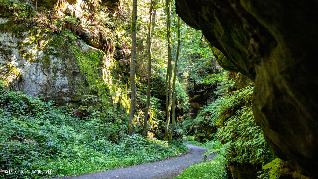 Wehlen Wandern in Saechsische Schweiz