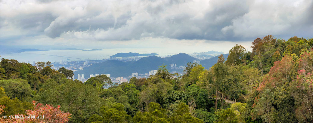 Penang Hill The Habitat