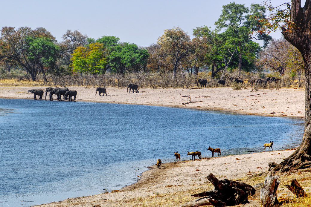 Bwabwata Nationalpark