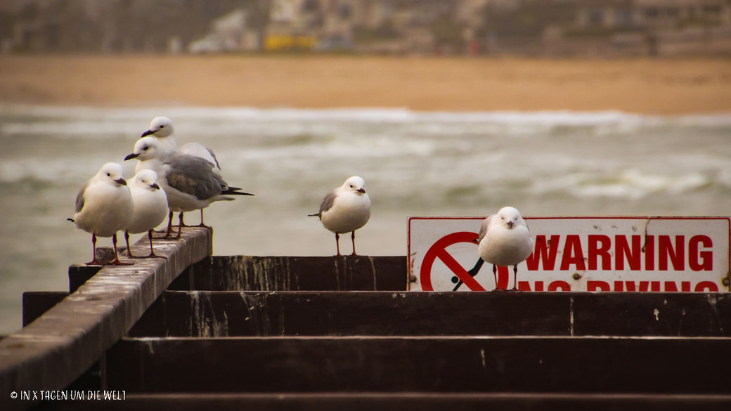 Swakopmund Namibia