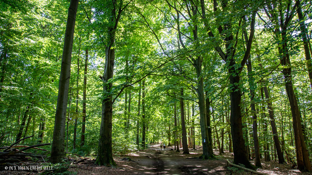 Ausflugsziele in Baden-Württemberg