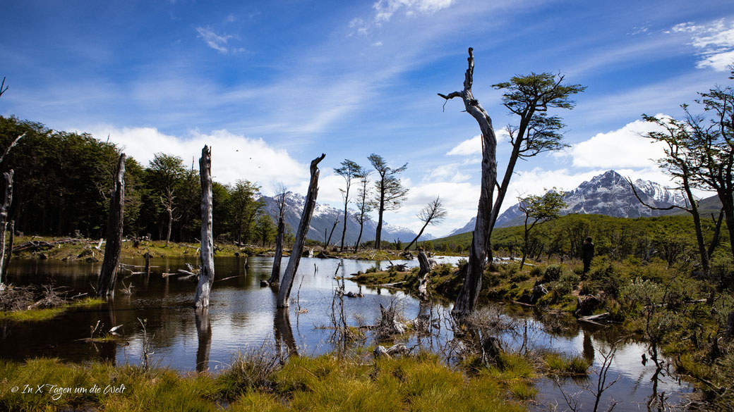 Laguna Esmeralda Wanderung Ushuaia