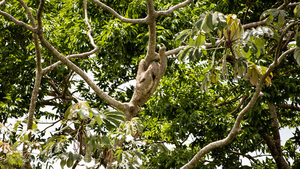 Pampas Tour in Bolivien Amazonas Rurrenabaque