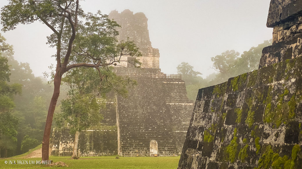 Die Ruinen von Tikal Guatemala