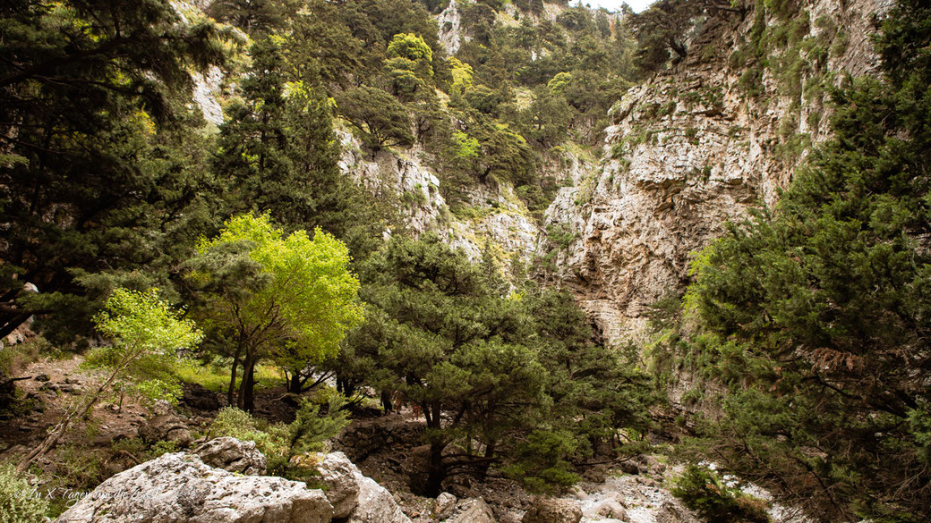 Kreta Kosten Urlaub