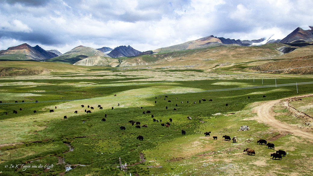 Tibet Reise Tibetbahn China