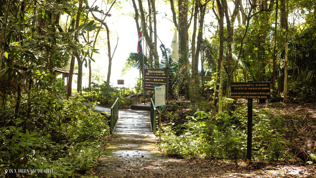 Cabo Blanco Nationalpark Costa Rica