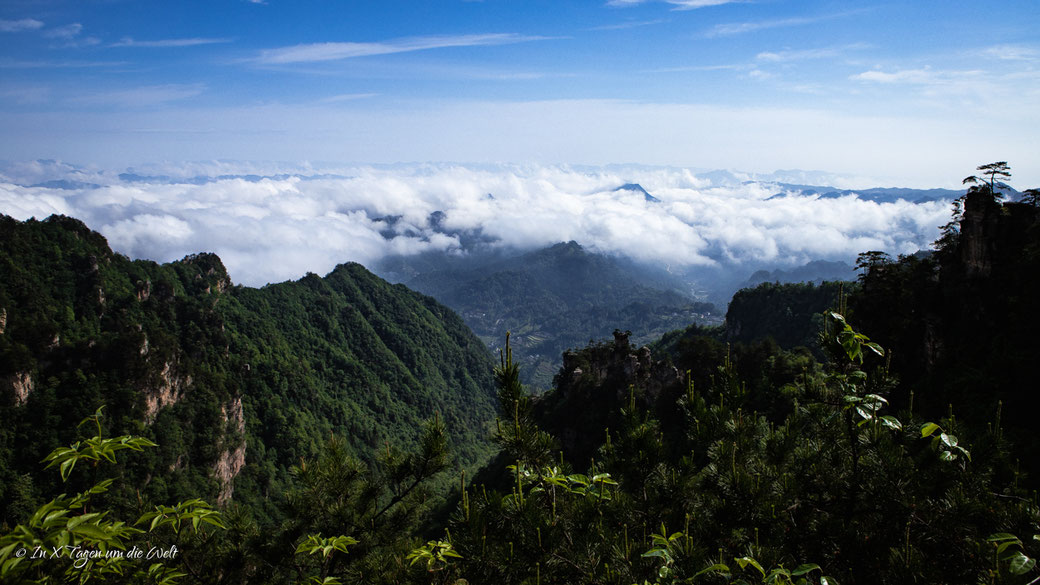 Zhangjiajie National Forest Park Avatar Berge in China