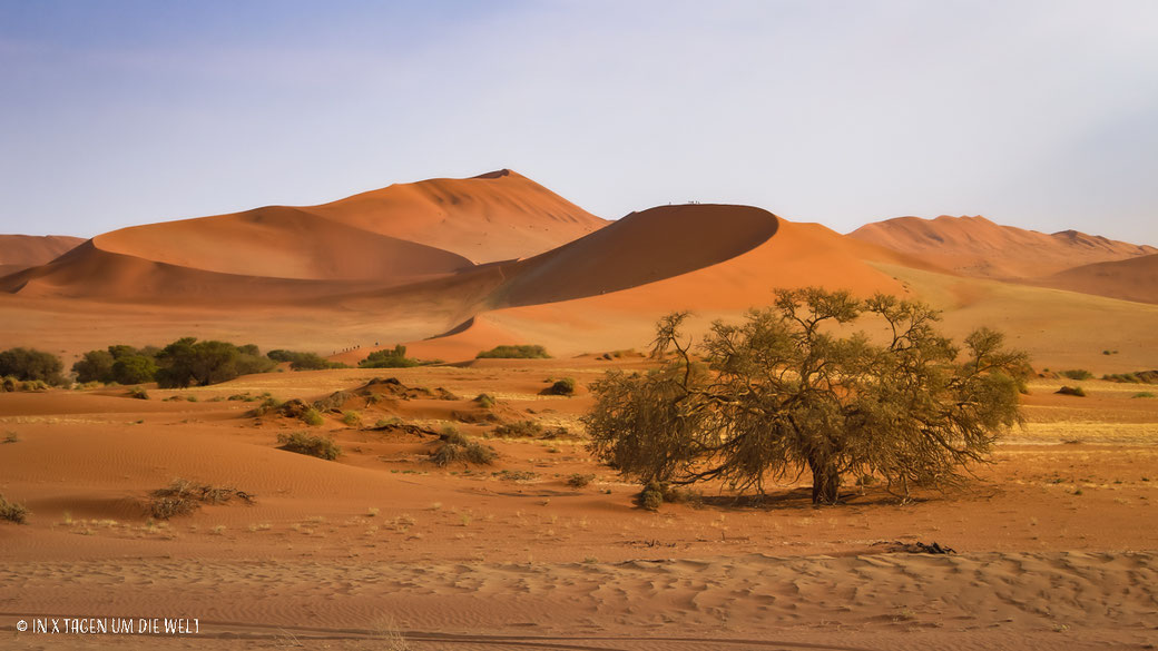 Namib, Dünen, Namibia, Wüste, Afrika