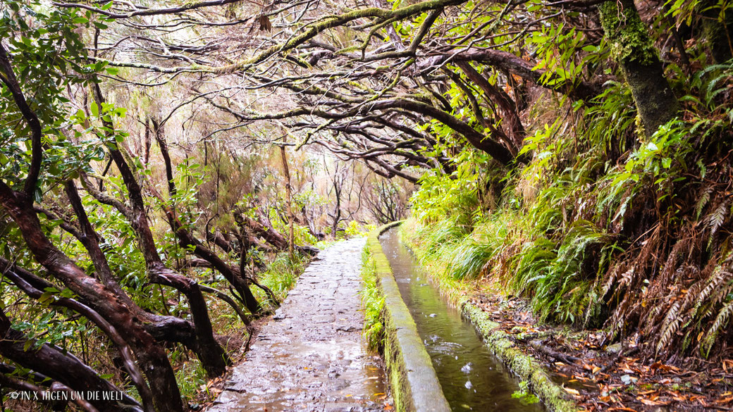 Levada 25 Fontes Risco Wasserfall Rabacal Madeira