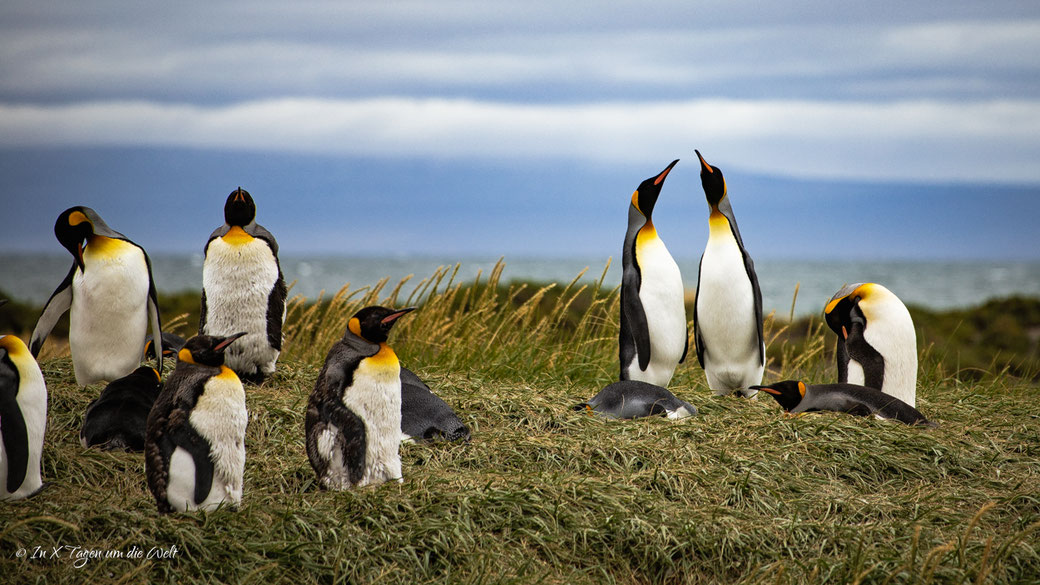 Travelguide Chile Backpacking