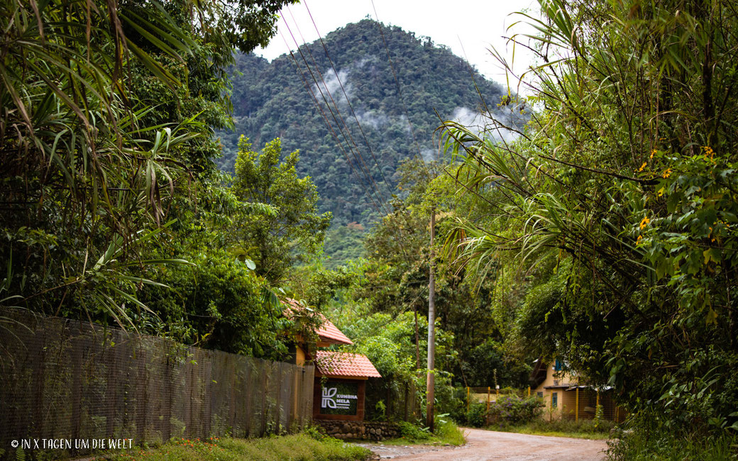 Mindo Ecuador