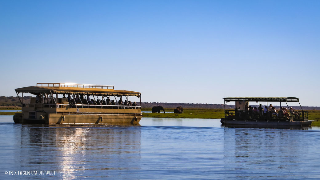 Chobe River, Pirschfahrt, Game Drive, Chobe Nationalpark, Botswana, Boot, Fluss, Elefanten