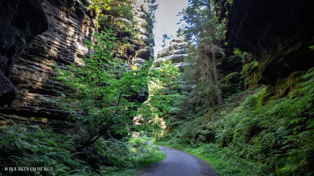 Wehlen Wandern in Saechsische Schweiz