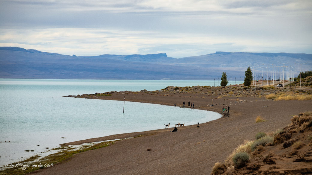 El Calafate Sehenswürdigkeiten, Reisetipps & Highlights