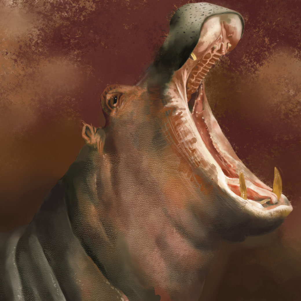 Nijlpaard portret
