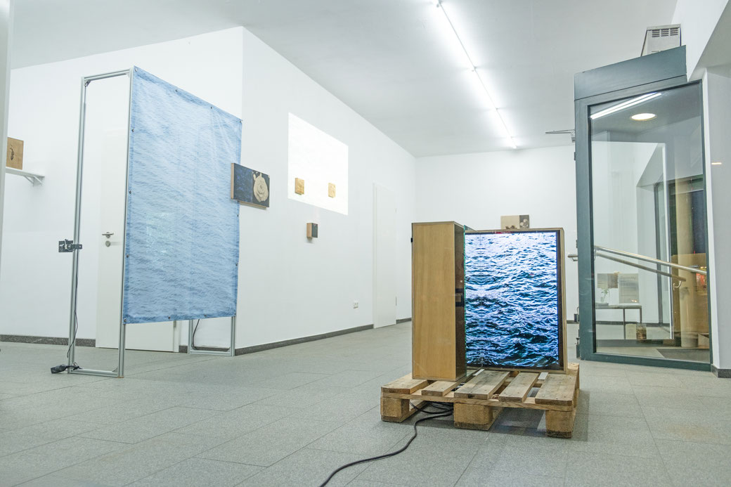 solo exhibition: Wandernde Flora at Boddenberg, Cologne 
