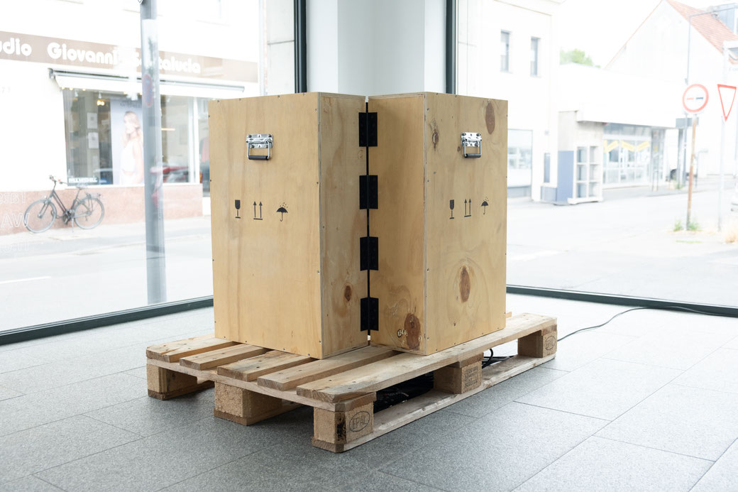 solo exhibition: Wandernde Flora at Boddenberg, Cologne 