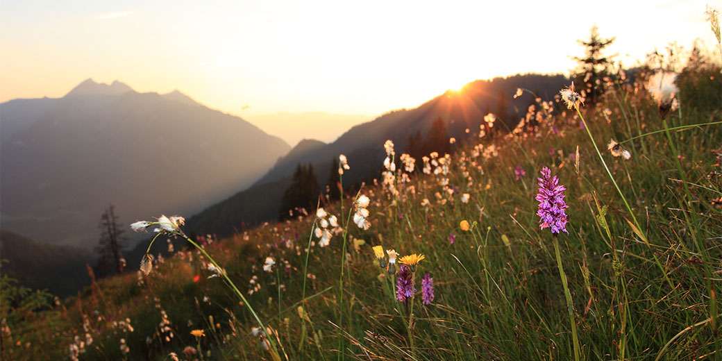 Sonnenuntergang in den Bergen in Großarl - Österreich