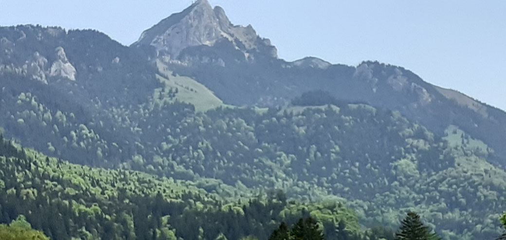 Psychologen-Bielefeld-Psychologin-Cimander-Bielefeld-Psychotherapie-Bielefeld-SEO-Suchmaschinenoptimierung
