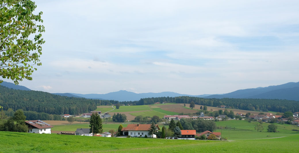 Fotograf Bad Kötzting, Hochzeit Bad Kötzting, Heiraten Bad Kötzting, Oberpfalz, Bayerischer Wald, 2016, 2017, Hochzeitsfotos, Hochzeitsfotografie, Bayerwaldhof, Hochzeitsfotograf Bad Kötzting, Kurpark Bad Kötzting, Standesamt Bad Kötzting