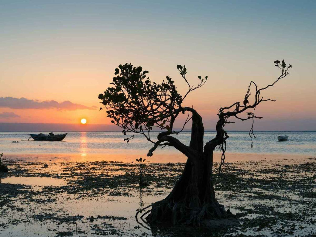 Top 5 Emerging Property Hotspots in Indonesia 2025