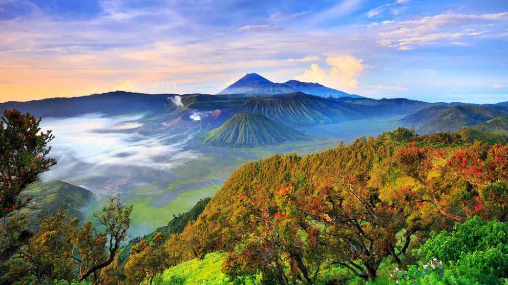 Java property for sale