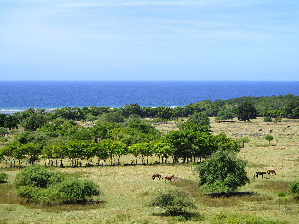 Pura Kambera in East Sumba