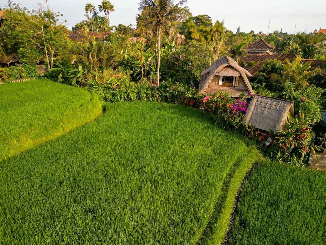 Ubud real estate for sale